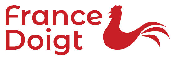 logo fd